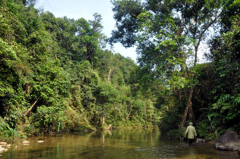 Cán bộ Ban quản lý rừng phòng hộ Đầm Hà cùng người dân tuần tra canh gác, bảo vệ rừng.