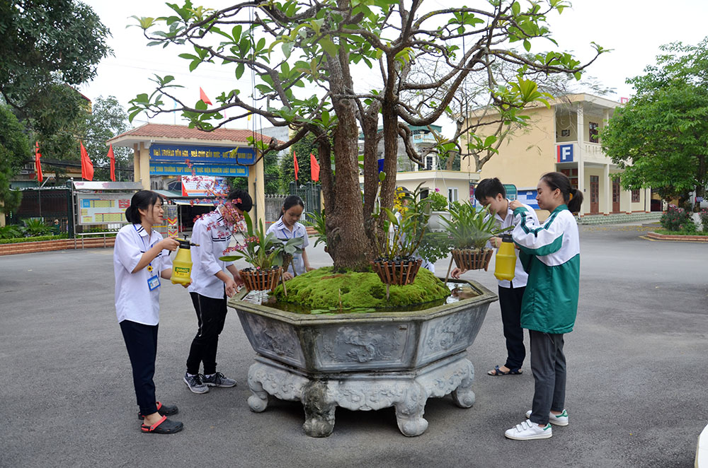 Học sinh Trường THPT Uông Bí, TP Uông Bí chăm sóc cây cảnh tại Trường.
