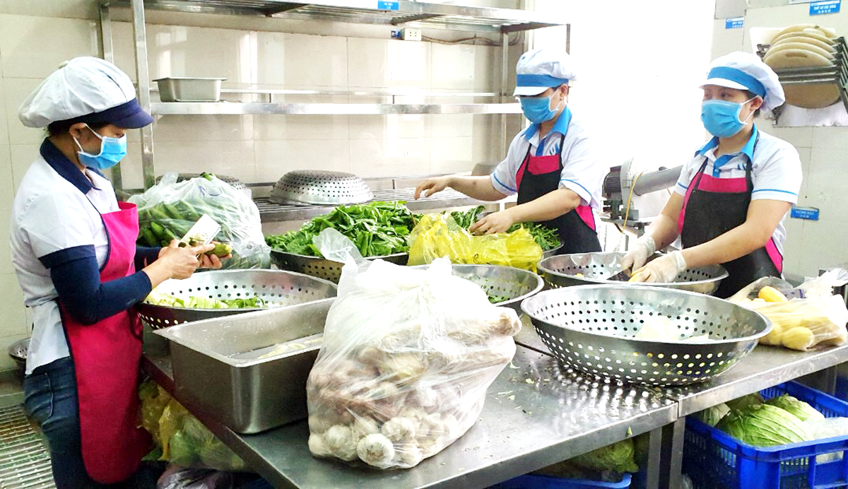 Hoạt động sản xuất của HTX dịch vụ nông lâm nghiệp Tiến Phương Nam của Bí thư Đoàn Thanh niên xã Quảng Chính, huyện Hải Hà.