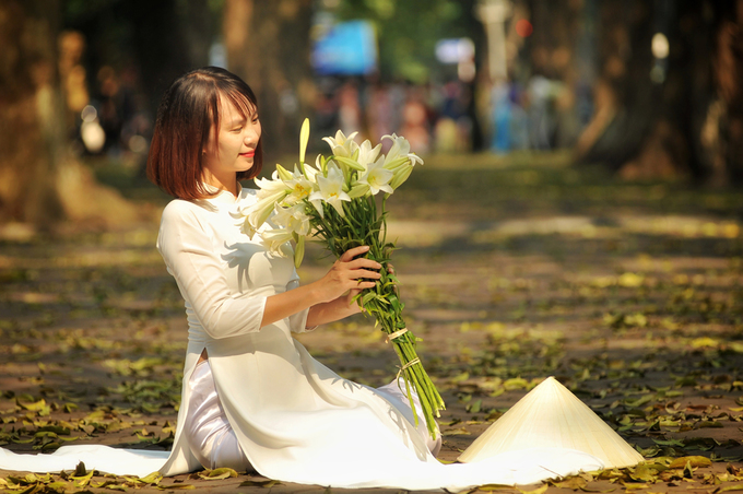 Lá sấu vàng, hoa loa kèn... là những biểu tượng của tháng tư, thường được kết hợp với những tà áo dài của các thiếu nữ Hà Thành. Các con đường trải thảm lá sấu vàng là nơi giới trẻ đến ghi hình kỷ niệm, bởi khung cảnh lãng mạn như trong những bộ phim Hàn Quốc.