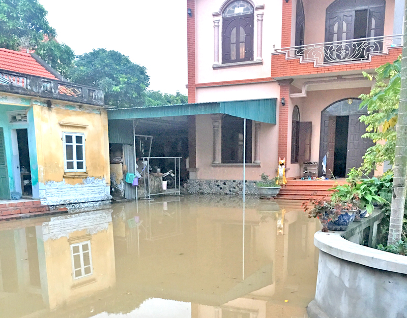 Sân vườn gia đình bà Lê Thị Bền bị ngập trong nước sau cơ mưa ngày 1/4/2019