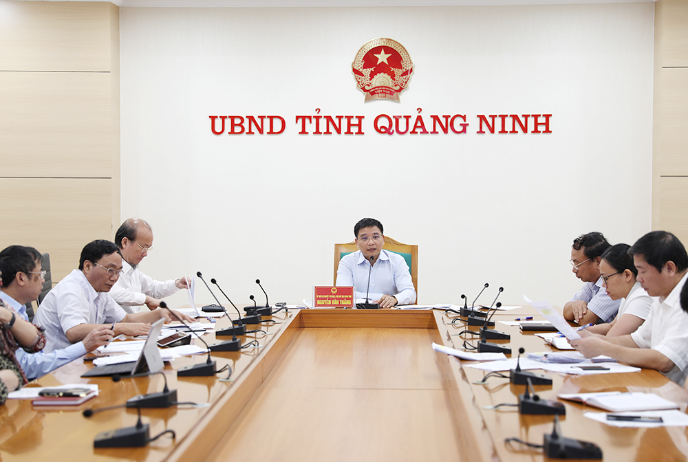 Phó Chủ tịch UBND tỉnh Nguyễn Văn Thắng phát biểu chỉ đạo tại cuộc họp.