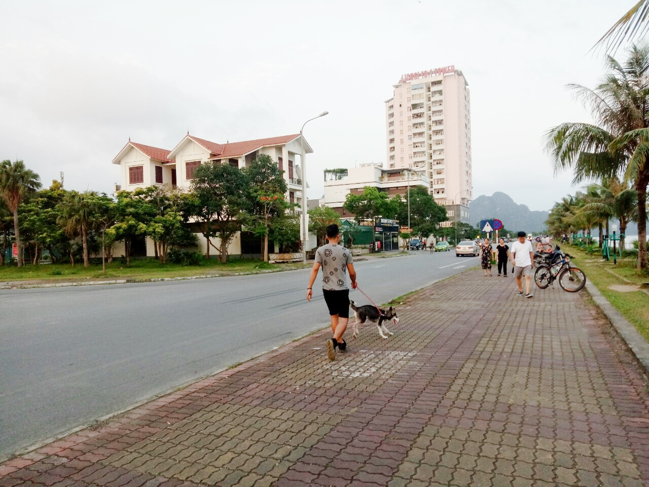 Bệnh dại