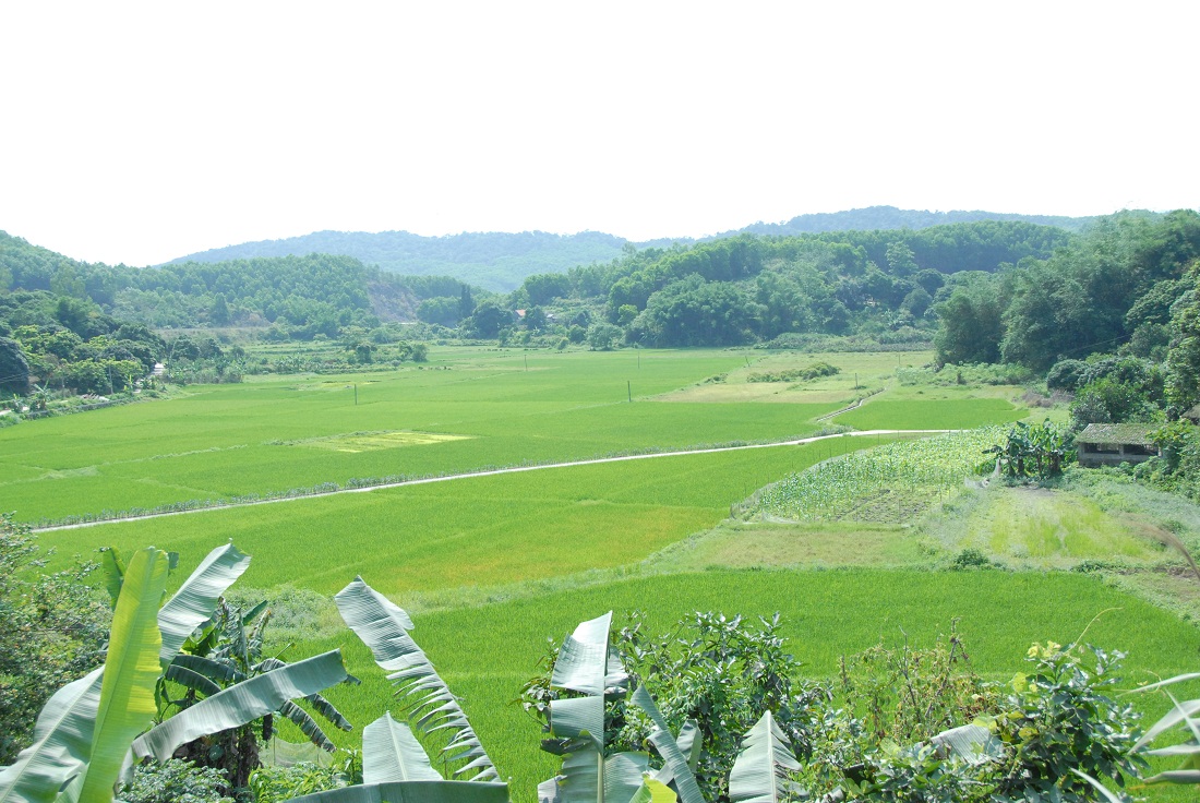 Hệ thống kênh mương tại thôn Đài Mỏ, xã Vạn Yên (Vân Đồn) sau nâng cấp đã đáp ứng nhu cầu nước tưới tiêu cho 25ha đất nông nghiệp.