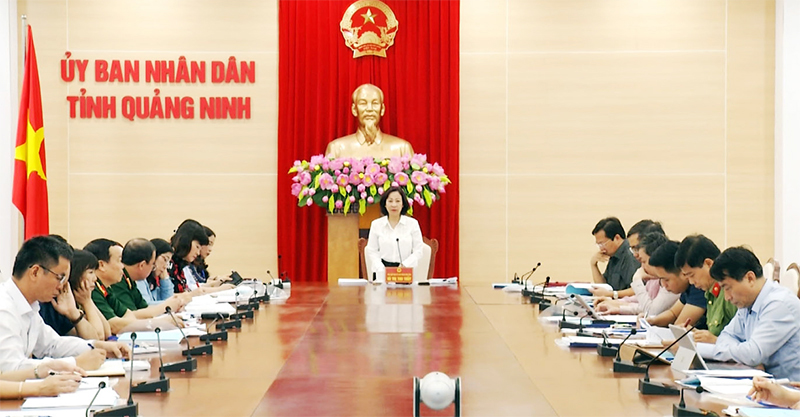 Đồng chí Vũ Thị Thu Thủy, Phó Chủ tịch UBND tỉnh, Trưởng Ban Chỉ đạo Kỳ thi THPT quốc gia tỉnh, phát biểu tại cuộc họp.