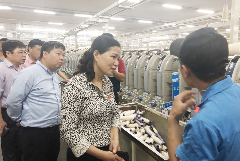 Đoàn ĐBQH trỉnh giám sát việc thực hiện chính sách pháp luật về KCN, KKT tại Khu công nghiệp  Hải Yên (TP Móng Cái)