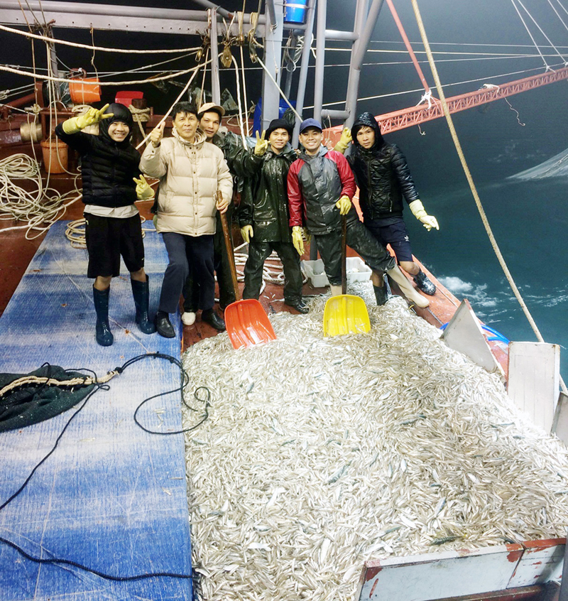 Hơn 1 tấn cá của tàu anh Nguyễn Văn Thành đã được khai thác nhờ công nghệ đèn Led. 