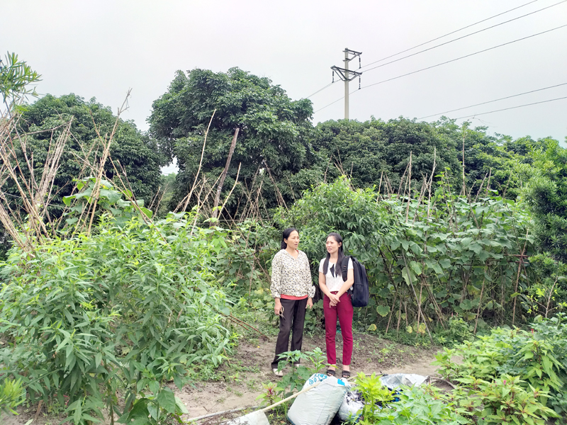Cán bộ xã Đông Xá khảo sát mô hình vườn mẫu của gia định chị Lê Thị Quyết ở thôn Đông Trung