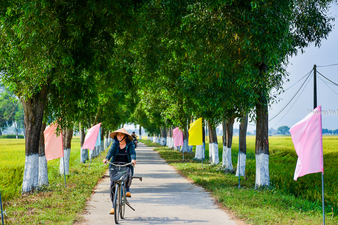 Đến La Chữ, du khách sẽ đi qua những con đường làng quê quen thuộc với hai hàng cây xanh tỏa bóng mát.