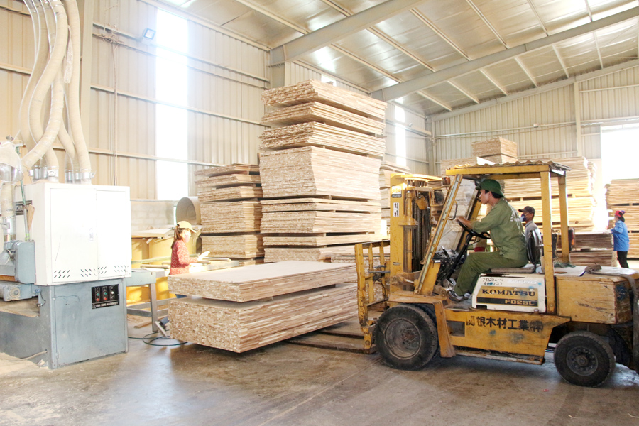 Sản xuất gỗ tại Công ty TNHH sản xuất, chế biến gỗ Thanh Lâm (Đầm Hà)