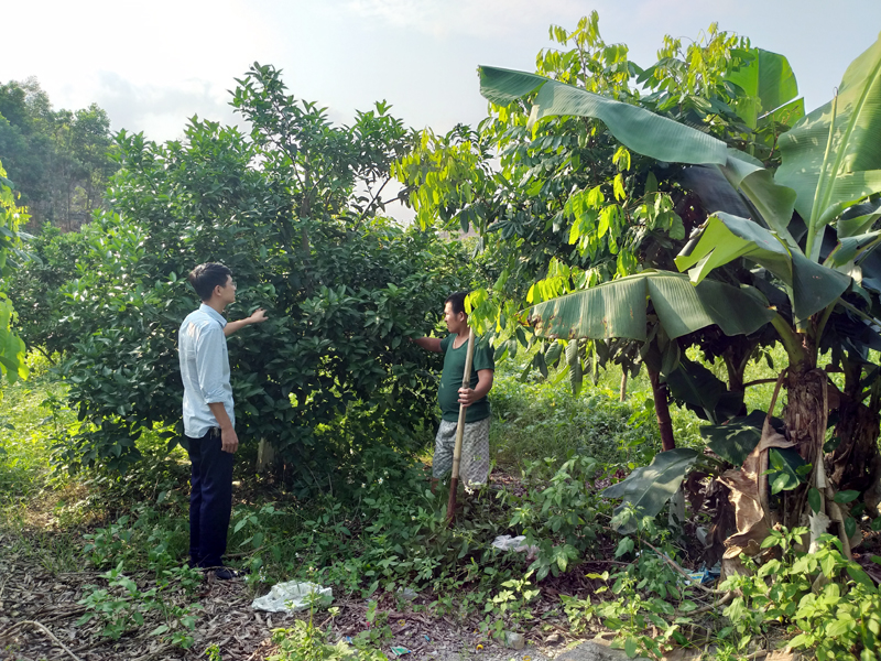 Cán bộ xã Đoàn Kết (Vân Đồn) nắm tình hình ứng dựng khoa học – kỹ thuật trong trang trại tổng hợp của gia đình ông Nguyễn Văn Lộ tại thôn Khe Ngái 