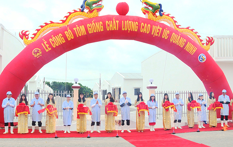 Tháng 4/2019, UBND tỉnh và Tập đoàn Việt Úc khánh thành Khu phức hợp sản xuất tôm chất lượng cao tại Đầm Hà. Ảnh: Hải Hà.