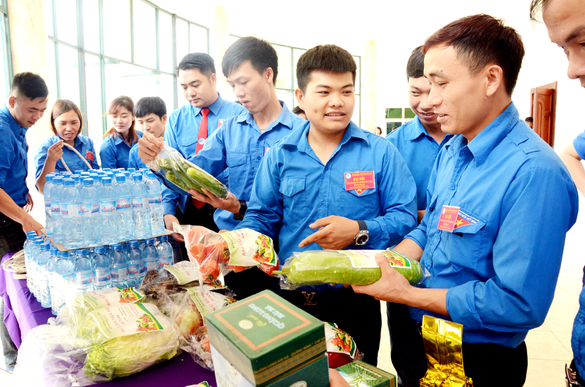 Các cán bộ Đoàn cơ sở ở huyện Hải Hà chia sẻ với nhau kinh nghiệm phát triển kinh tế.