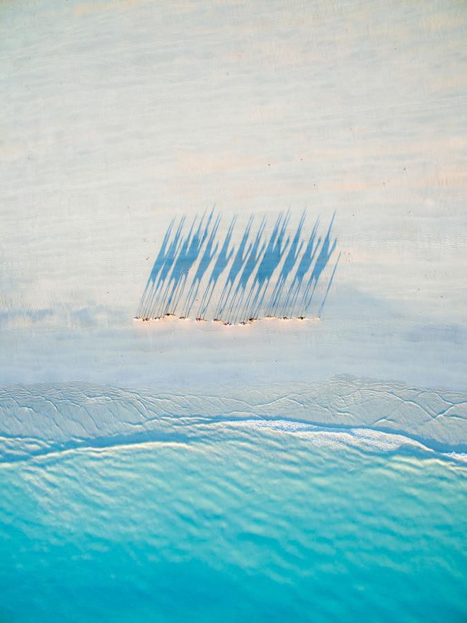  Bóng của những con lạc đà trên bãi biển Cable Beach, Tây Australia.