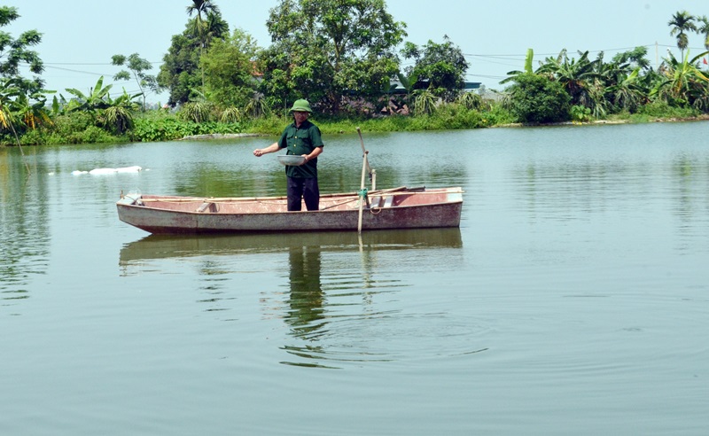 Với diện tích mặt ao 0,5ha, CCB Nguyễn Văn Nặc duy trì nuôi cá nước ngọt. 