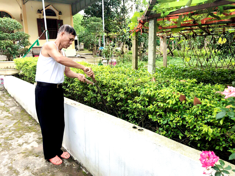 Vườn mẫu của gia đình được ông Khổng Đông Lan (thôn 3, xã Cẩm Hải, TP Cẩm Phả) thường xuyên tỉa tót, chăm sóc. 