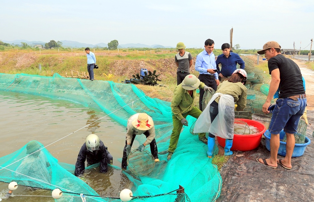Lãnh đạo huyện Tiên Yên quan tâm sâu sát, thăm quan thực tế mô hình nuôi tôm của người dân xã Đồng Rui.