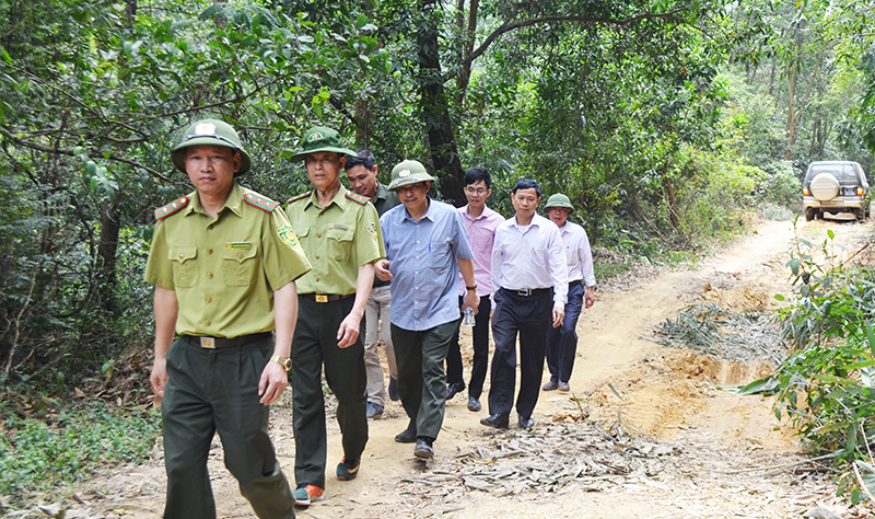 Lực lượng chức năng khảo sát thực tế trữ lượng rừng phòng hộ hồ Cao Vân (TP Cẩm Phả)