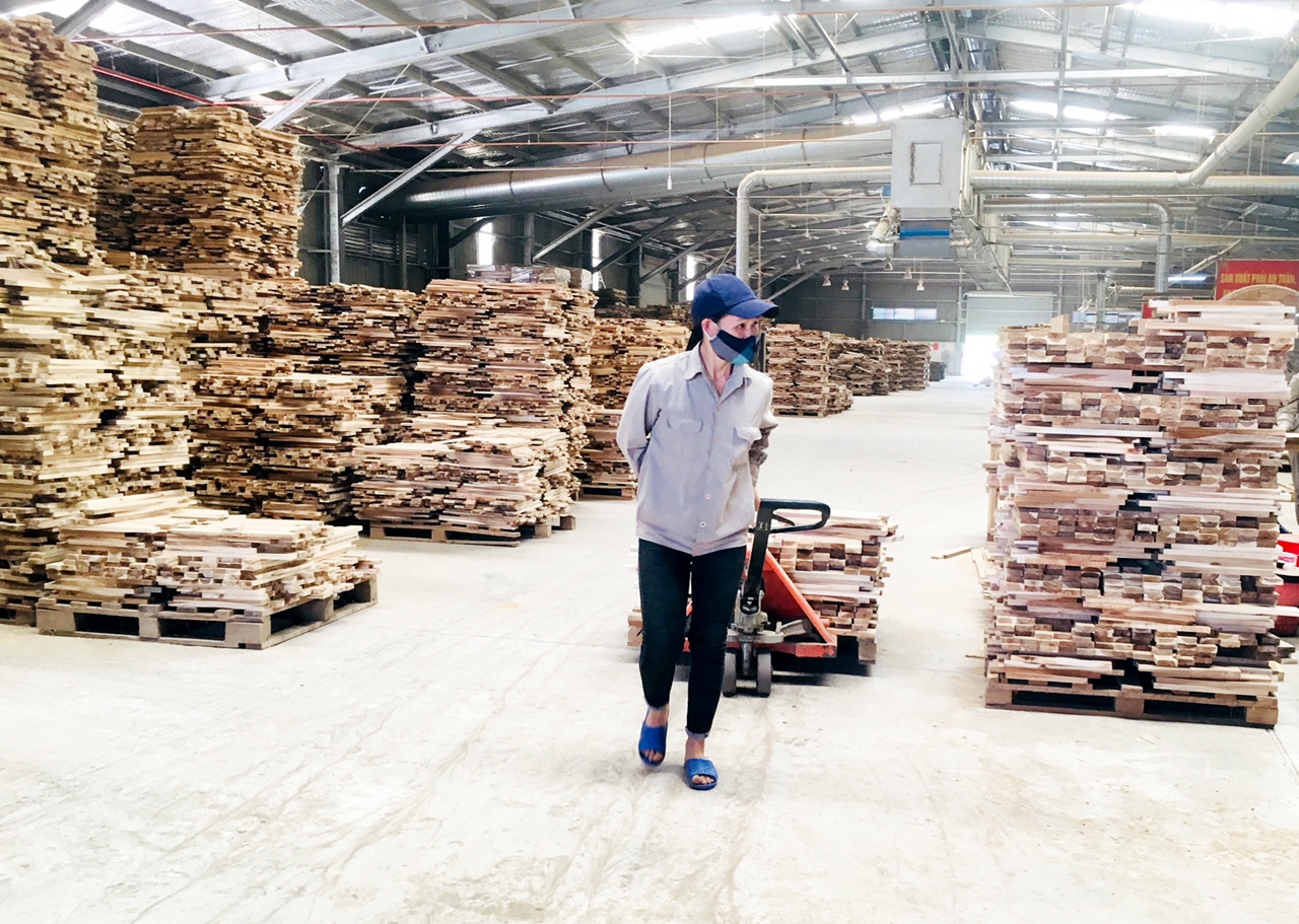Chế biến gỗ tại nhà máy gỗ Thanh Lâm (huyện Đầm Hà)