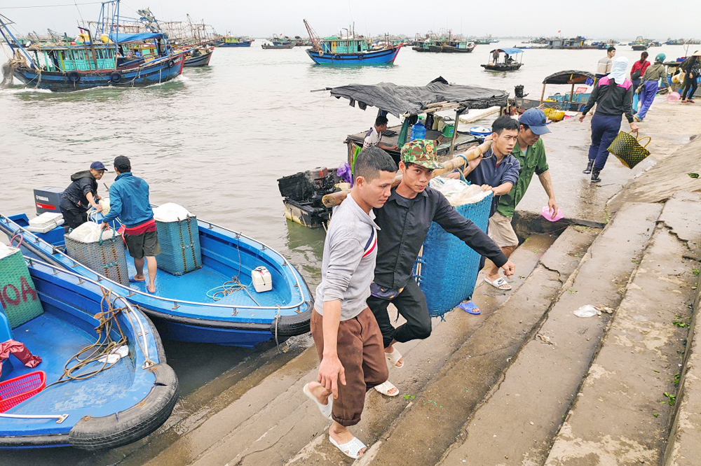 Ngư dân phường Bình Ngọc (Móng Cái) vận chuyển cá cho thương lái tại bến Mũi Ngọc. 