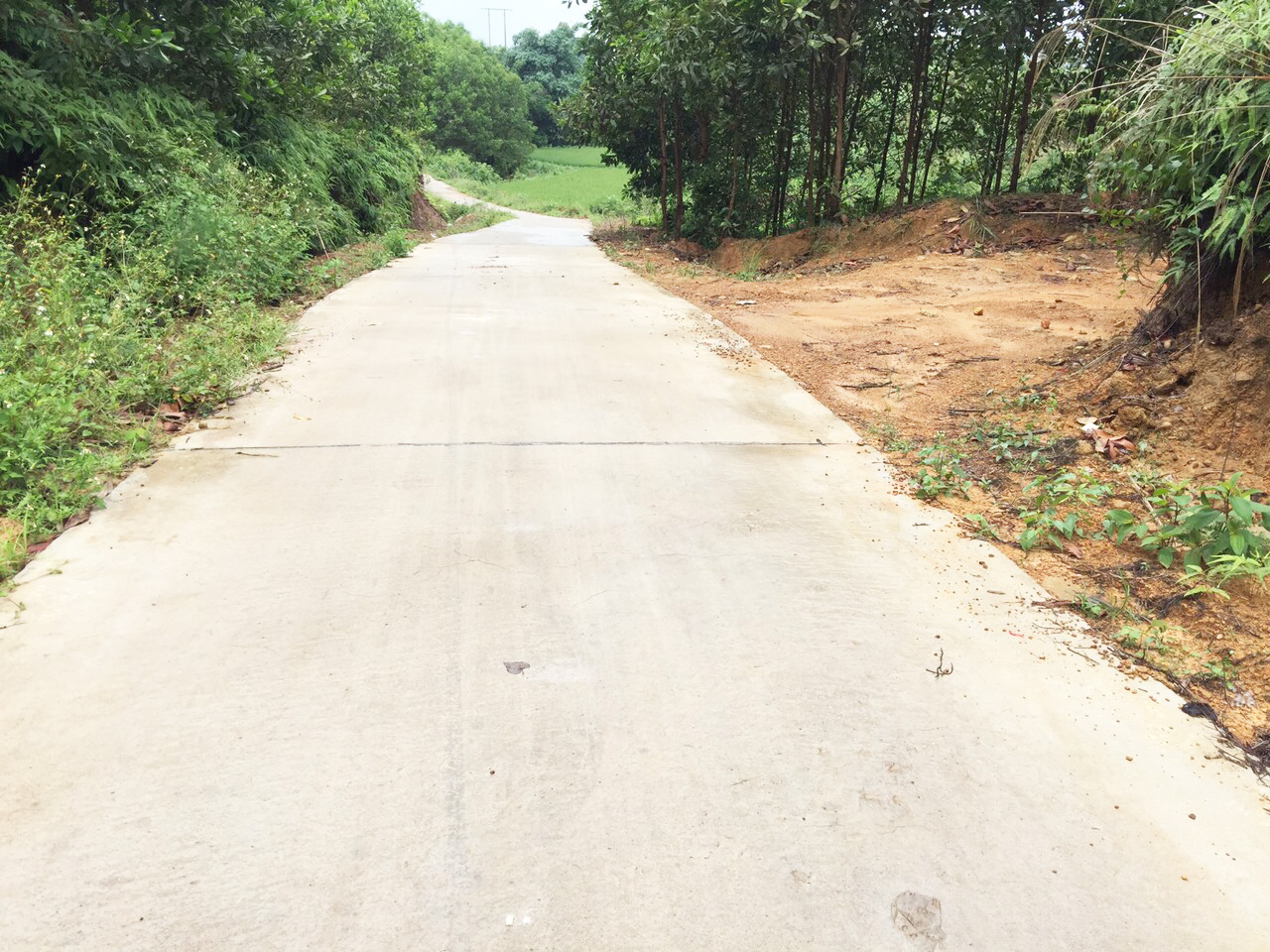 Nhiều tuyến đường tại xã Quảng Phong được đầu tư xây dựng bê tông hóa tạo thuận lợi cho người dân đi lại, phát triển kinh tế.