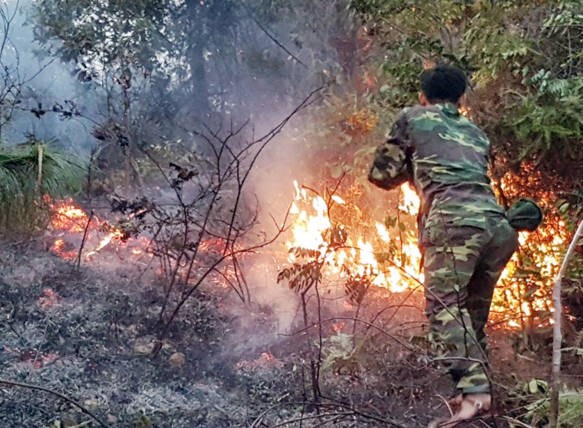 Cán bộ chiến sĩ Đồn Biên phòng Ngọc Vừng tham gia chữa cháy rừng phòng hộ tại xã đảo Ngọc Vừng (huyện Vân Đồn).