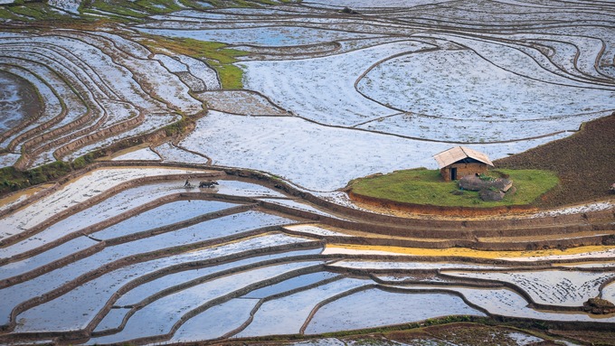Những cơn mưa đầu mùa mang lại nguồn nước cho đồng ruộng cũng là lúc nông dân vào vụ cấy mới. Mùa nước đổ ở huyện Bát Xát kéo dài từ tháng 5 đến 6 hàng năm.