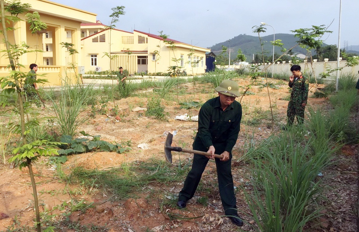 Cán bộ chiến sĩ Ban CHQS huyện Hoành Bồ tranh thủ ngày nghỉ, giờ nghỉ tham gia trồng cây khu vực quanh doanh trại. 