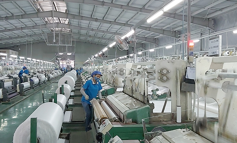 Lao động sản xuất tại Công ty TNHH Vinanewtarp Việt Nam, KCN Cái Lân.