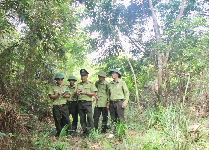 Một ngày đi rừng tuần tra của các chiến sĩ kiểm lâm Ba Mùn