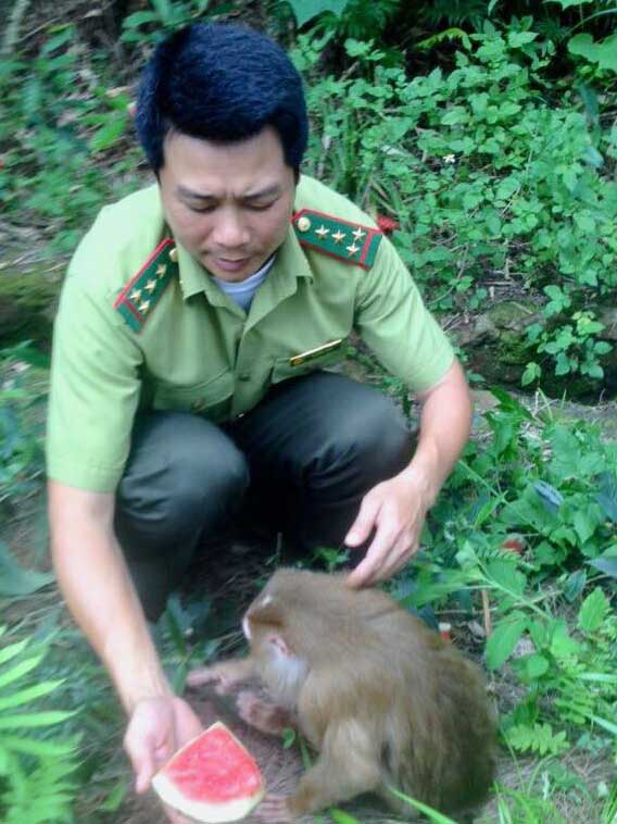 Những chú khỉ thân thiết như những người bạn đối với các chiến sĩ kiểm lâm ở đảo Ba Mùn.