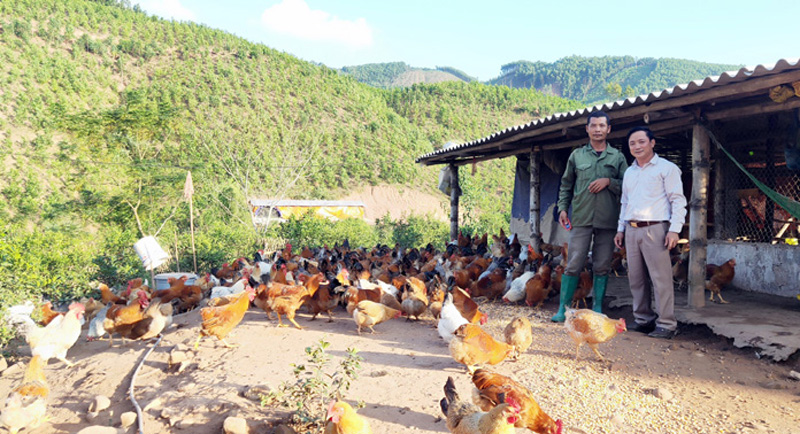 Lãnh đạo xã Hà Lâu kiểm tra mô hình trang trại gà của gia đình ở Lại Ngọc Vìn, thôn Bải Phai (Hà Lâu) 