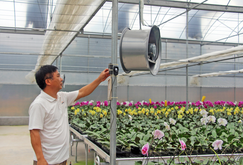 Việc áp dụng KHCN để nâng cao chất lượng sản phẩm nông nghiệp được các HTX trồng hoa, cây cảnh ở Hoành Bồ chú trọng. 