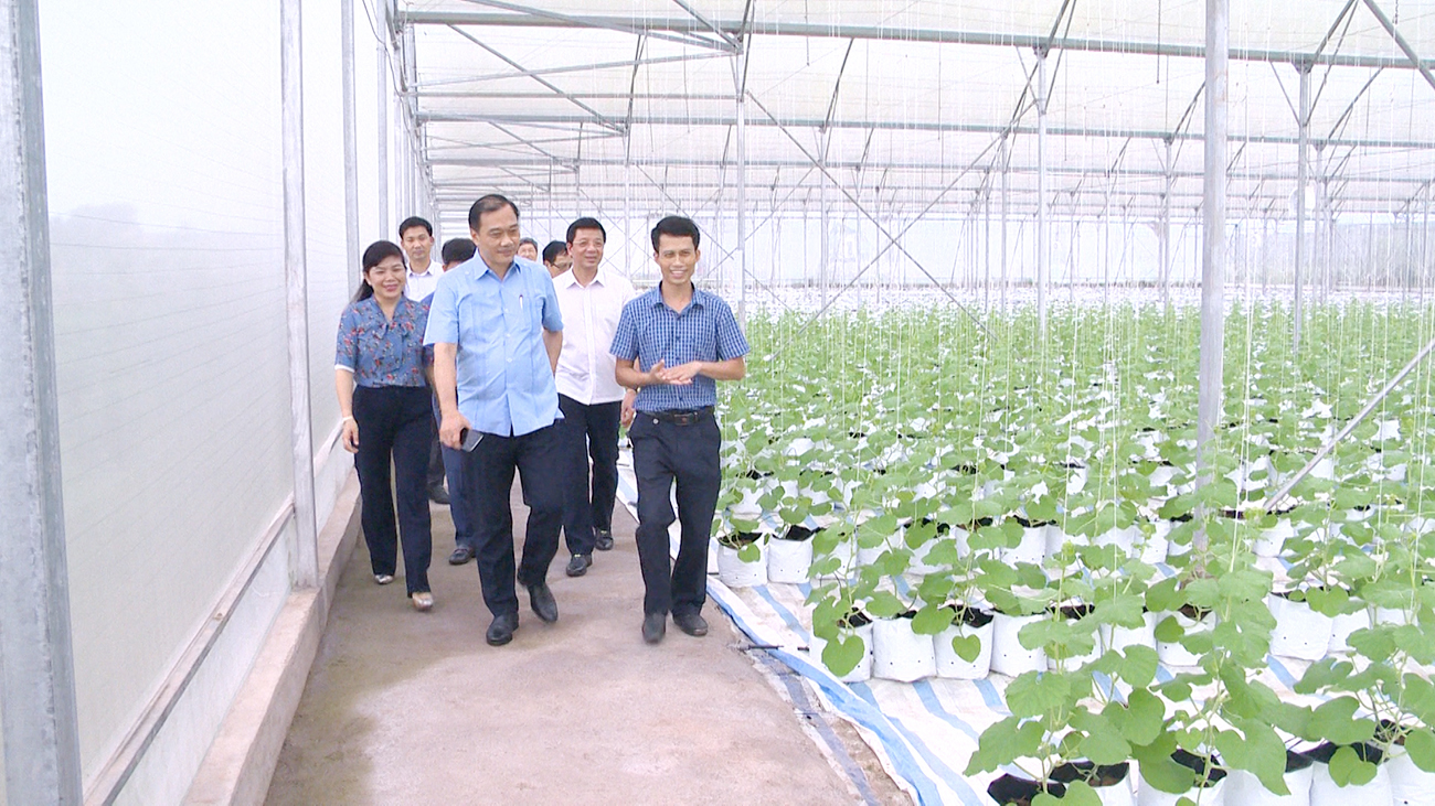 Chủ nhiệm UBKT của Quốc Hội Vũ Hồng Thanh nghe giới thiệu về mô hình trồng dưa lưới.