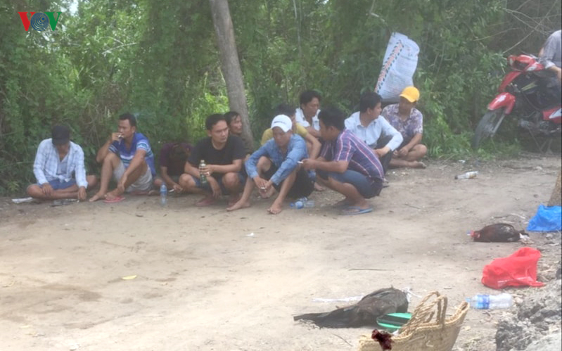  Bắt quả tang xới gà ở xã Tân Lập 1, huyện Tân Phước