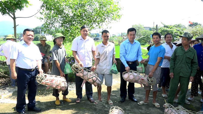 Dự án“Chăn nuôi lợn thương phẩm, giảm nghèo bền vững” với 25 hội viên nông dân nghèo, cận nghèo tham gia