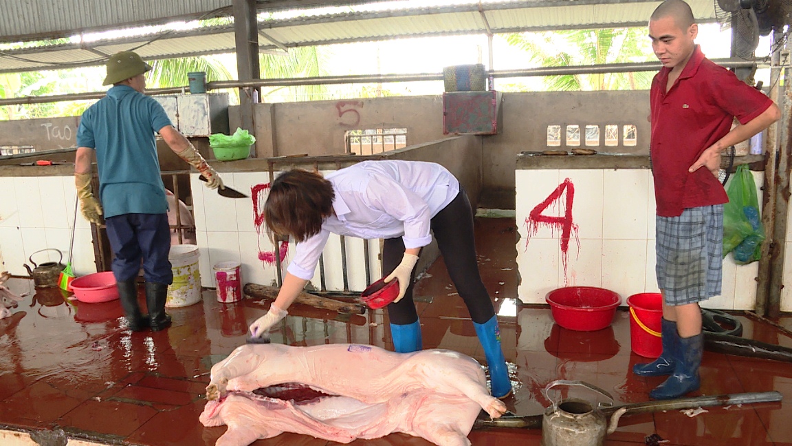 Kiểm tra công tác vệ sinh an toàn thực phẩm thú y trong hoạt động giết mổ tại Cơ sở giết mổ gia súc tập trung Vang Thanh Dương, TP Uông Bí.