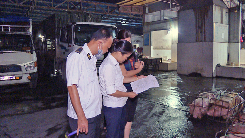 Cán bộ Chi cục Chăn nuôi và Thú y Quảng Ninh kiểm tra giấy tờ kiểm dịch của xe vận chuyển lợn vào Cơ sở giết mổ gia súc tập trung Thái Hòa (TP Cẩm Phả).