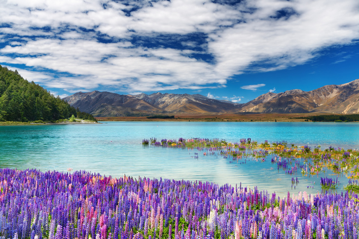  New Zealand. Du khách sau chuyến bay đường dài tới New Zealand sẽ được đền đáp bằng sự đa dạng của hệ động thực vật. Đất nước này là quê hương của những ngọn đồi tuyệt đẹp, những bãi biển, thác nước và vịnh hẹp nổi tiếng thế giới.
