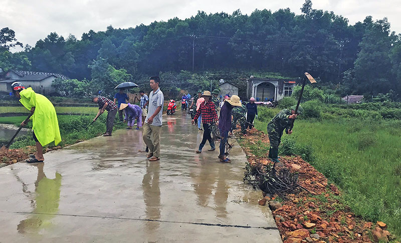 Người dân thôn Thán Phúc Xã, ra quân trồng sim tạo cảnh quan và thi công tuyến đường điện chiếu sáng đầu tháng 7/2019.