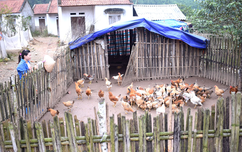 Chị khu giãn dân Nà Sau, thôn Nà Nhái xã Vô Ngại được hỗ trợ nuôi gà từ chương trình 