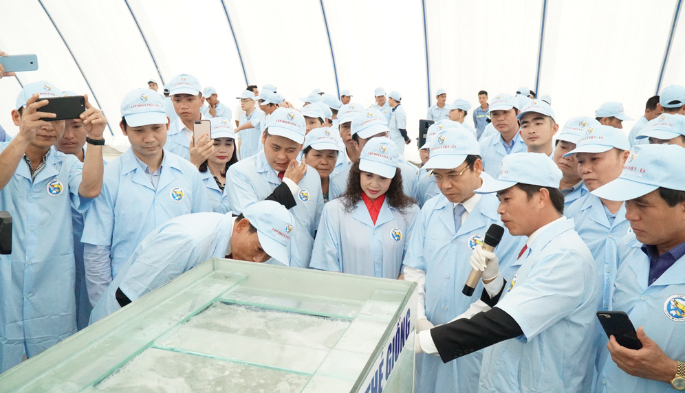Ông Lương Thanh Văn giới thiệu với lãnh đạo tỉnh sản phẩm tôm giống của Tập đoàn.