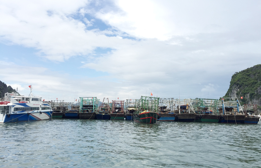 Đội tàu khai thác, đánh bắt cá xa bờ huyện Vân Đồn.