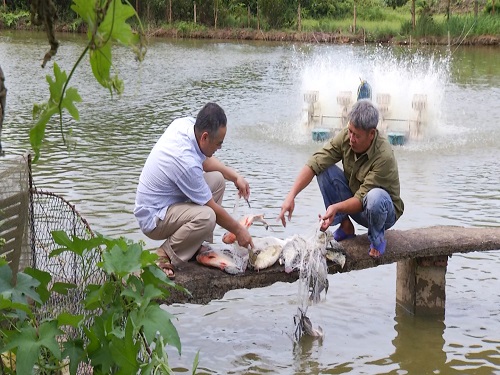 CCB Vũ Mạnh Tuấn (bên phải) chia sẻ với đồng đội về mô hình nuôi cá nước ngọt của gia đình.