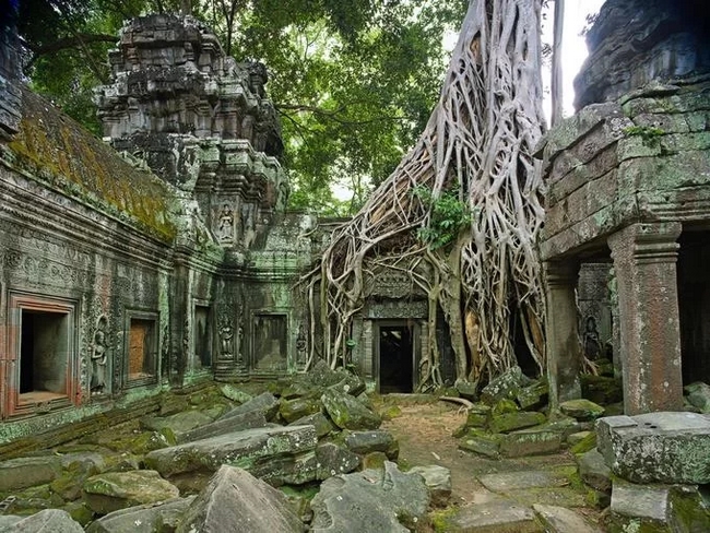 Đền Ta Prohm tại Siem Reap do vua Jayavarman VII xây dựng năm 1186 nằm trong khu quần thể Angkor, hấp dẫn du khách bởi những cây đa hàng trăm tuổi phủ bộ rễ quanh các công trình kiến trúc. Thậm chí, rễ cây còn xuyên qua cấu trúc đá, tạo nên cảnh quan ấn tượng. Ảnh: Robert Clark.