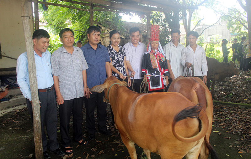 Hội Nông dân tỉnh Quảng Ninh trao tặng bò sinh sản cho các hộ nghèo, cận nghèo của xã Quảng Sơn
