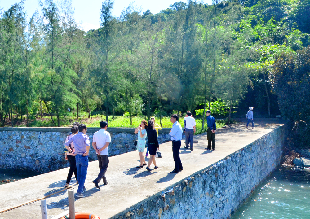 Right at the entrance, visitors can enjoy the fresh cool air of the pristine forest on a good weather day. 
