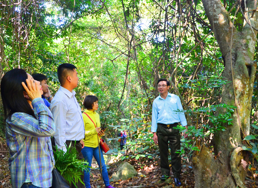 Just one kilometer from the entrance, we can see the dense swathes of foliage and multi-year-old trees.