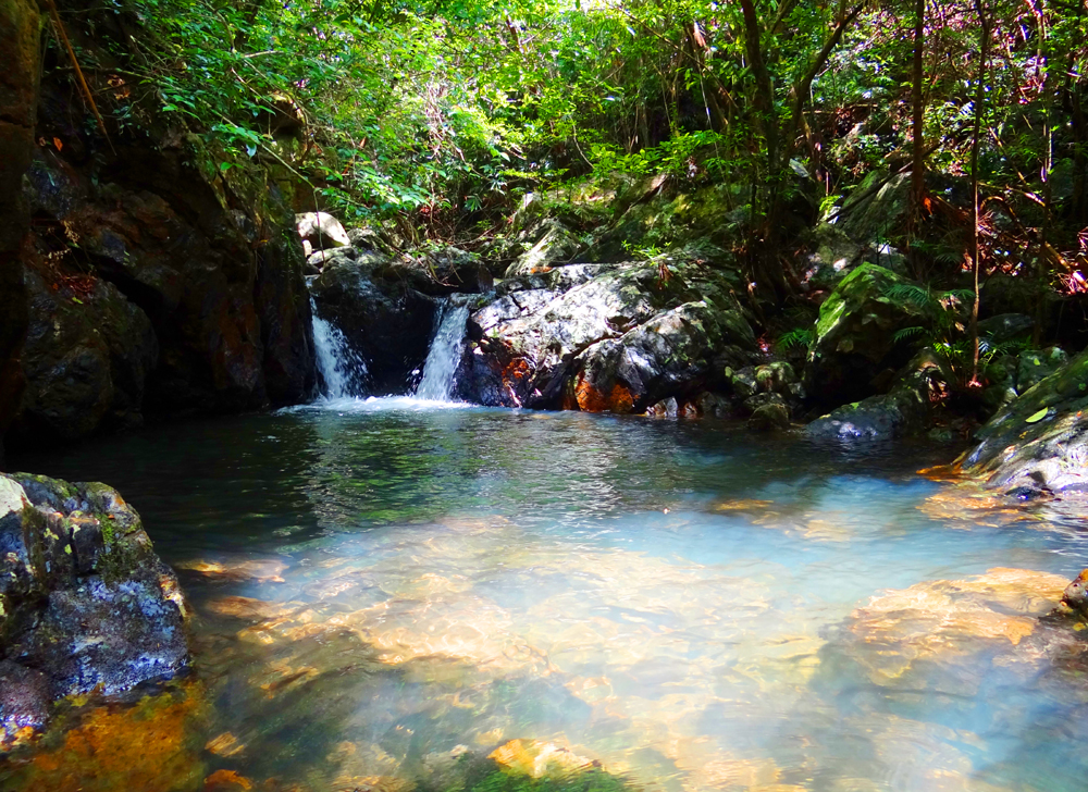 Many clear streams are founded on journey of discovery. 