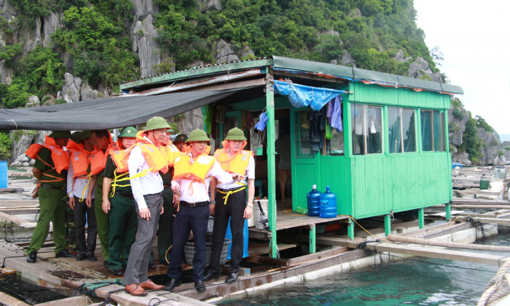 Công tác phòng, chống cơn bão số 2